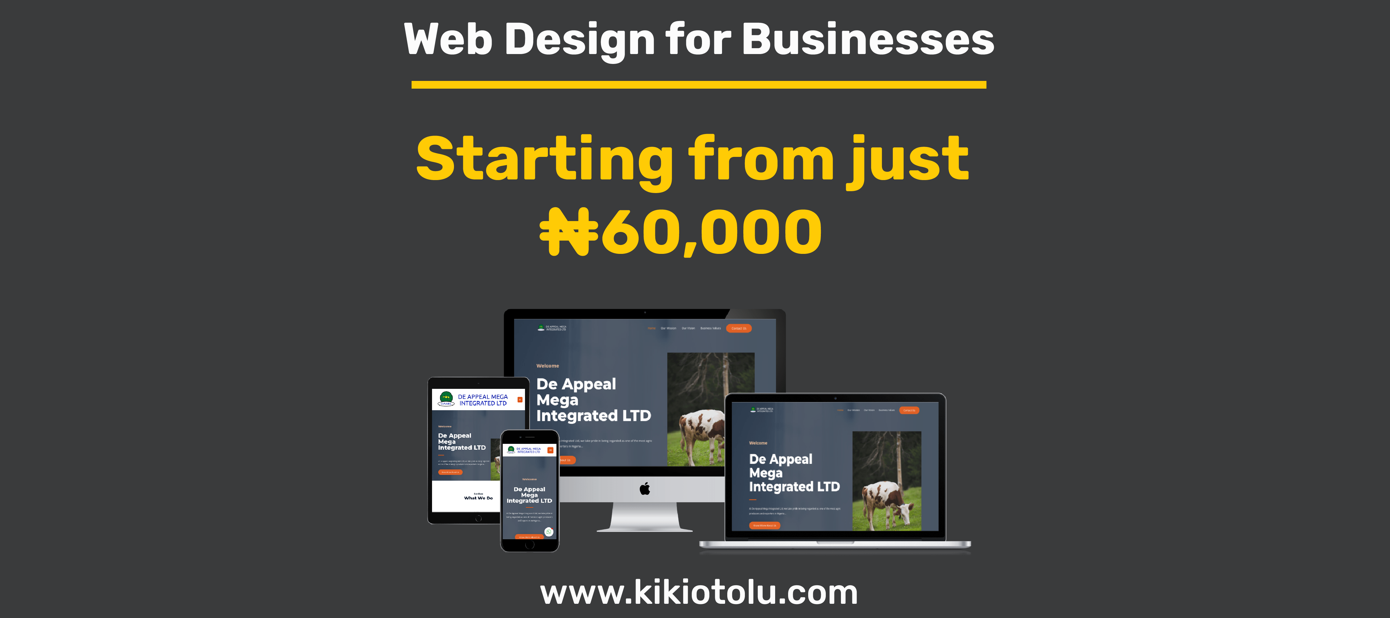 kikiotolu solutions web design