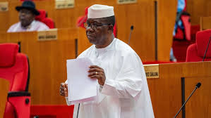 Senate Leader Plans Bill for Single Six-Year Tenure for Presidents, Governors