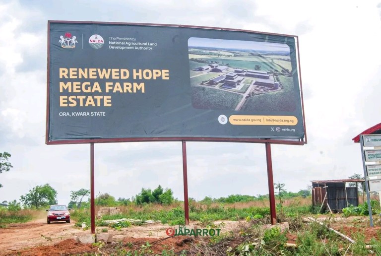 Nigerian govt establishes Renewed Hope mega farms in 4 states