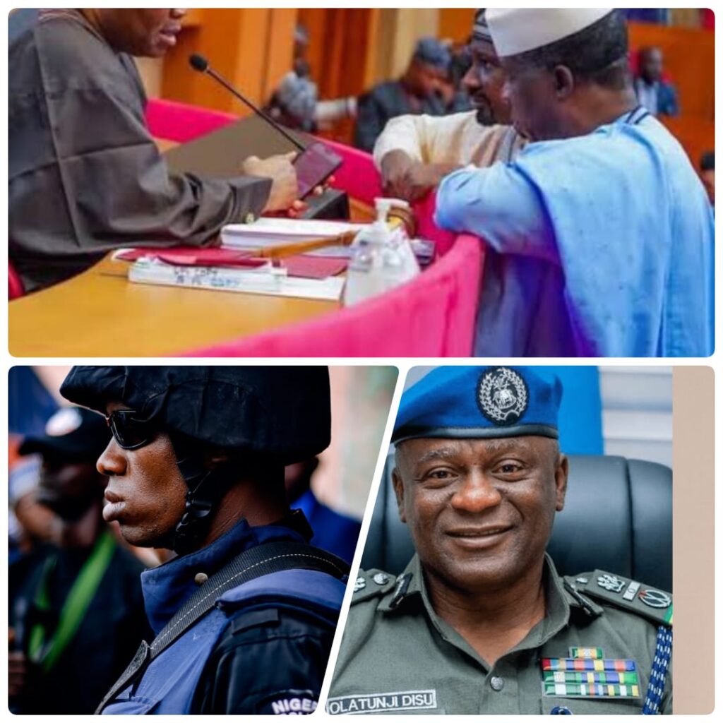 State Police: Fallacies of sceptics – Opeyemi Bamidele CON, Leader Of The Senate